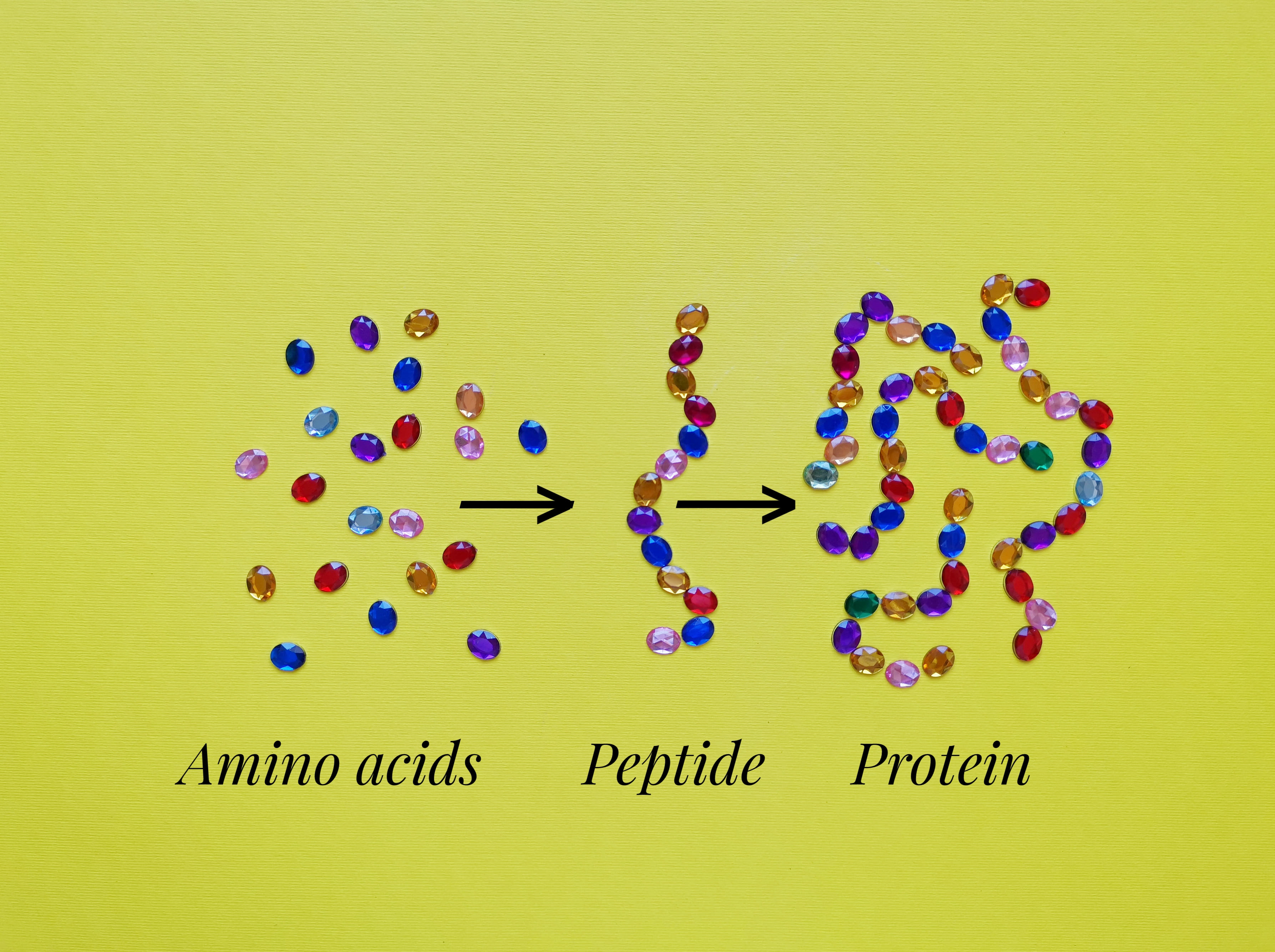 Пептиды и аминокислоты в косметологии. Protein structure. Acetyl Tetrapeptide-3. Hair x DNA Peptide.