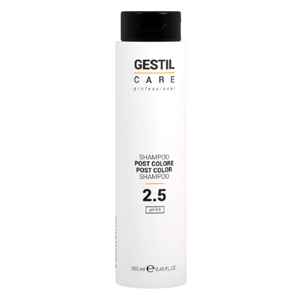 Gestil 2.5 Post Color Shampoo 250.0 мл: купить VGCN-2.5/1 - цена косметолога